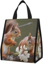 Squirrels Lunch Bag Lunch Box for Women Men Insulated Lunch Bag Leakproof Cooler Food Lunch Containers Lunch Tote Bags for Work Travel Outdoor