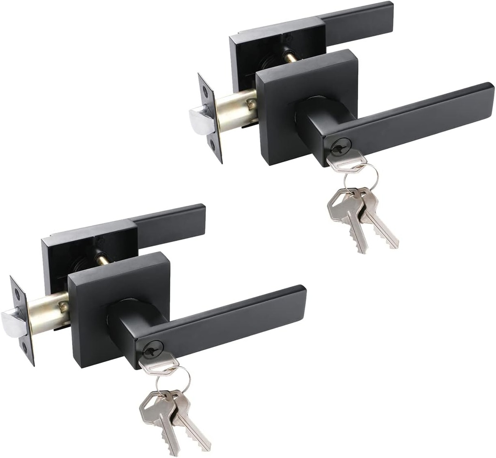 NEWBANG Exterior Door Handle Heavy Duty Keyed Entry Door Handle Set(Not Keyed Alike) Entrance Handleset, Matte Black FinishHTL01-BM-ET-CS-2P