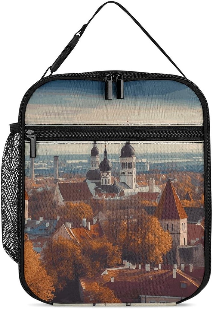 Insulated Lunch Bags for Women Reusable Lunch Boxes Tallinn Estonia Cityscape Waterproof Tote Bag Lunch Cooler Bag for Work