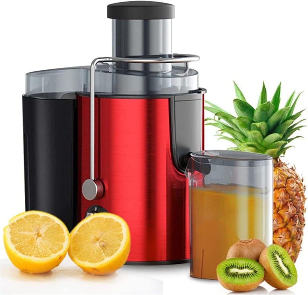 Cold Press Vertical Juicer Machine, Slow Masticating Juicer Extractor Professional Machine Dual Speed for High Nutrient Vegetable & Fruit