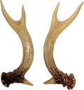 BestGiftEver Rustic Antler Drawer Pulls and Cabinet Handles Set of 2 - Faux Antler Door Handles for Cabin, Lodge, or Rustic Furniture - 8.5-Inch Polyresin Hardware with Matching Screws