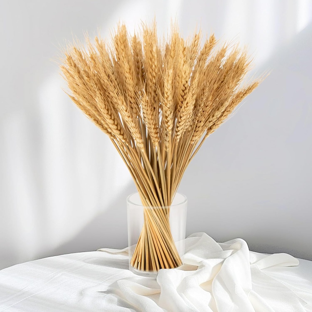 Sukh 100 Stems Dried Wheat Stalks for Decor - Sheaves Grass Natural Bunch Flowers Home Wedding Table Kitchen Boho Farmhouse Fall Arrangement DIY Decoration 12.9 Inches