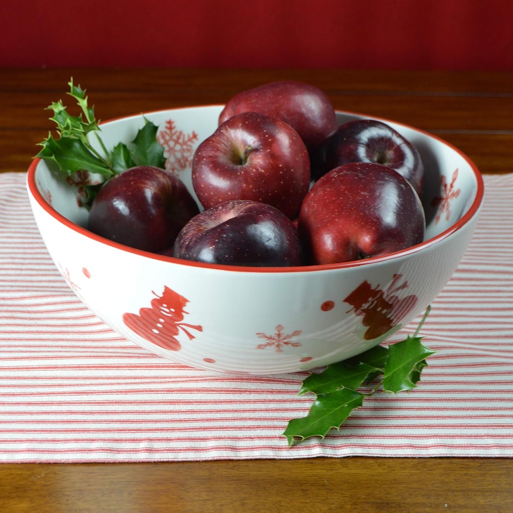 Euro Ceramica Winterfest Collection Festive 11" Ceramic Round Serving/Salad Bowl, Hand-Painted Holiday Design, Red & White