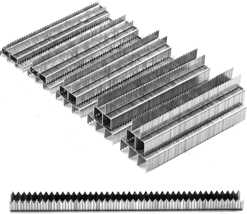 Beveled Chiseled Pointed Heavy Duty T50 304 Stainless Steel Staples 1300-Count 5 Sizes Includes: 1/4", 5/16", 3/8", 1/2", 9/16" Assorted Size Project Pack, for Pneumatic, Electric T50 Stapler