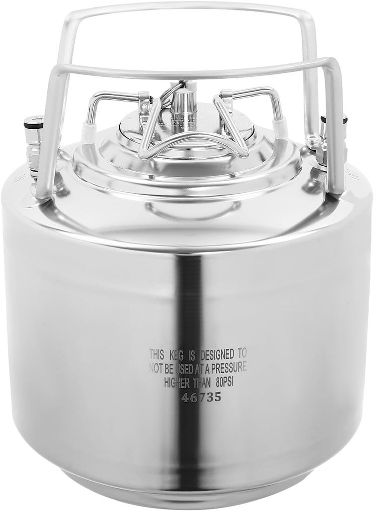 1.6 Gallon Mini Ball Lock Keg,304 Stainless Steel Beer Brewing Keg Double Ball Lock Post Corny Keg w/Quick Connect & Disconnect, Mini Beer Barrel Home Brewing Keg for for Brewing Beer