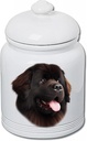 Best of Breed Newfoundland Chocolate Dog and Cat Ceramic Treat Jar 9" Tall Air Tight Seal All White