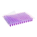 Excel Scientific TSS-RTQS-50 ThermalSeal RTS Film for Real-Time/qPCR, Sterile (Pack of 50)