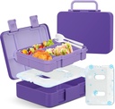Chill Bento Lunch Box for Kids Adult with Ice Pack,6-Compartment Reusable Leak-proof Lunch Container for Girls Boys to School,Keep Food Cold&Fresh,Dishwasher & Freezer Safe