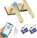 Gold Fingerprint Door Lock Smart Finger Print Door Knob Keyless Bedroom Door Lock with Keypad App Control Easy Installation for Home Bedroom Office,2 Fob Cards