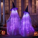 TW SHINE 2 Packs Halloween Decorations Outdoor, Lighted Ghost with Witch Hat, Spooky Halloween Decor Indoor for Outside Porch Garden Yard