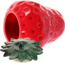 Strawberry Shaped Ceramic Food Storage Jar Airtight Tea Canister and Cookie Jar with Wear Resistant Finish Unique Cute Design for Kitchen Counter and Bulk Snacks Storage