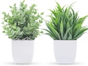 Der Rose 2 Pack Small Fake Plants Mini Artificial Potted Plants for Table Desk Home Laundry Room Bathroom Office Decor
