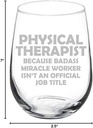 MIP Brand Wine Glass Goblet Funny Job Title Miracle Worker Physical Therapist (17 oz Stemless)