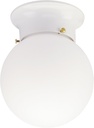 Westinghouse 6660700 Interior Ceiling Fixture 60 Watts, White Finish with Glass Globe