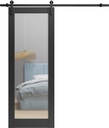 Sturdy Barn Door 28 x 96 inches | Lucia 1299 Matte Black with Mirror | 8FT Rail Hangers Heavy Hardware Set | Solid Panel Interior Door