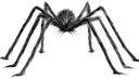 5 FT Giant Spider Halloween Decorations Indoor Outdoor - Halloween Large Big Realistic Hairy Plush Fake Spider Props for Yard Party Classroom Wall Window Decor, Black