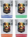 R and R Imports Tampa Florida Design A Souvenir 2 Ounce Shot Glass Square 4-Pack Multicolor