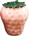 Cabilock Ceramic Strawberry Tea Canister Pink Tea Storage Jar for Loose Food Storage Jar
