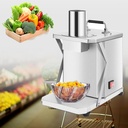 Commercial Vegetable Chopper,Food Processor Fruit Cutting Machine,200W Stainless Steel Automatic Fruit and Vegetable Chopper Dicing Machine with 6/8/10/12/15mm Cube Die,for Restaurants Home