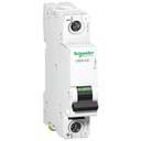Schneider Electric Solar 10A DC MCB Single Pole (A9N61508)
