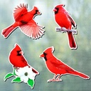 Photect 8 Pcs Cardinal Bird Screen Door Magnets Flexible Decorative Double Sided Screen Door Magnets Saver for Sliding Window Decor, 4 Styles(Classic)