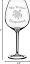 Wine Glass Goblet Sea Turtle Save The Turtles No Straw Required (20 oz Jumbo)