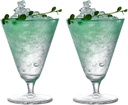 WAIT FLY Footed Cocktail Glasses Martini Glasses Wine Glasses Juice Beer Glasses Set of 2 Mixed Drinkware Sets for Bar Party