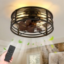 ZYD Caged Ceiling Fans with Lights and Remote, 16.5" Flush Mount Bladeless Ceiling Fan Light, Rustic Farmhouse Ceiling Fan Light Fixture for Bedroom, Kitchen, Indoor - Black