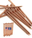 Dubbs Hardware 12-Pack Pure Copper 4-Inch Nail Spikes - Heavy-Duty Tree Stump Root Killer - Eco-Friendly & Chemical-Free Tree Removal - USA-Made Durable Spikes for Landscaping & Gardening