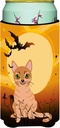 Caroline's Treasures BB4440TBC Halloween Australian Mist Cat Tall Boy Hugger Can Cooler Sleeve Hugger Machine Washable Drink Sleeve Hugger Collapsible Insulator Beverage Insulated Holder