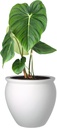 Elly Décor 17-inch Round Fiberstone Planter, Conic Design, with Lip Lightweight, Durable Garden Pot, Indoors and Outdoors 15"x17" White