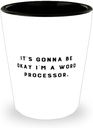 Word processor For Coworkers, It's Gonna Be Okay I'm a Word Processor, Inspirational Word processor Shot Glass, Ceramic Cup From Boss