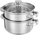 3.0 Quart Steamer Pot for Cooking, 2-tier Steam Pots with Lid for Cooking Vegetables, Seafood, Soups, Food and Pasta