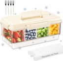 Portable Snackle Box Container with Ice Pack, 4 Large Compartments Chilled Travel Charcuterie Tray with Lid & Forks, Cooling Divided Serving Tray, for Outdoor Parties, Picinics