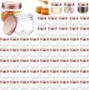 Tanlade 60 Pcs 3 oz Clear Plastic Jars with Lids Wide Mouth Mason Jars Mini Storage Containers Bulk for Herb Jelly Wedding Valentine Favors Shower Party Favors(Rose Gold)