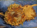 Sunflowers Still Life Flowers by Vincent Van Gogh Accent Tile Mural Kitchen Bathroom Wall Backsplash Behind Stove Range Sink Splashback One Tile 8"x6" Ceramic, Glossy