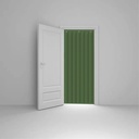 Sound Dampening Blanket for Door and Window,Thermal Insulated Door Curtain,Door Sound Barrier,Heavy Duty Cold/Hot Protection Sound Proof Door Curtains,for Temporary Door Front Doors ( Color : Green ,