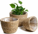 Seagrass Planter Basket 3 Set Handmade Woven Basket Indoor Outdoor Storage Basket Flower Pot Container with Waterproof Plastic Liner for Houseplants Succulents Orchid Modern Home Decor Brown