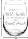 Wine Glass Goblet The Best Aunts Get Promoted To Great Aunt (17 oz Stemless)
