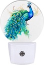 Watercolor Peacock Night Light Feather Night Lights LED Lamp Round Plug into Wall Nightlight with Dusk to Dawn Sensor Home Hallway Stairway Kitchen Decor