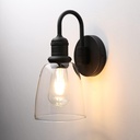 1-Light Vintage Gooseneck Wall Sconce Lamp with Cloche Clear Glass Shade, Industrial Indoor Wall Light Fixture for Bathroom Living Room Bedroom Over Kitchen Sink