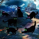 6 Pack Halloween LED Glowing Eyes Black Cat Glow in The Dark with Lights Outdoor Outside Halloween Decorations Scary Yard Signs Garden Decor Lawn for Pathway Stake Thickened Silhouette