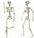 LUKBERA 2 Pack 3 ft Halloween Skeleton Posable, 36” Full Body Human Skeleton with Movable Joints for Halloween Haunted House Graveyard Party Scary Indoor Outdoor Decor