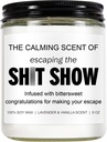 Sarcastic Candles, Going Away, Goodbye, Farewell Gifts for Coworkers - Retirement, Coworker Leaving Gifts for Women, Men - Leaving Job, Moving Away Presents for Friends, Boss, Work Bestie