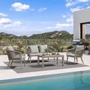 PURPLE LEAF 4-Piece Wicker Patio Conversation Set Aluminum Rattan Sofa Patio Furniture Set with Cushions and Coffee Table for Garden Backyard Champagne