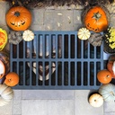 Halloween Door Mat Horror Clown Welcome Mat Scary Entry Rug Non-Slip Rubber Front Doormat Bathroom Home Decor Low-Profile Switch Rug Kitchen Floor Mat, Indoor/Outdoor Decor 17x29 Inch